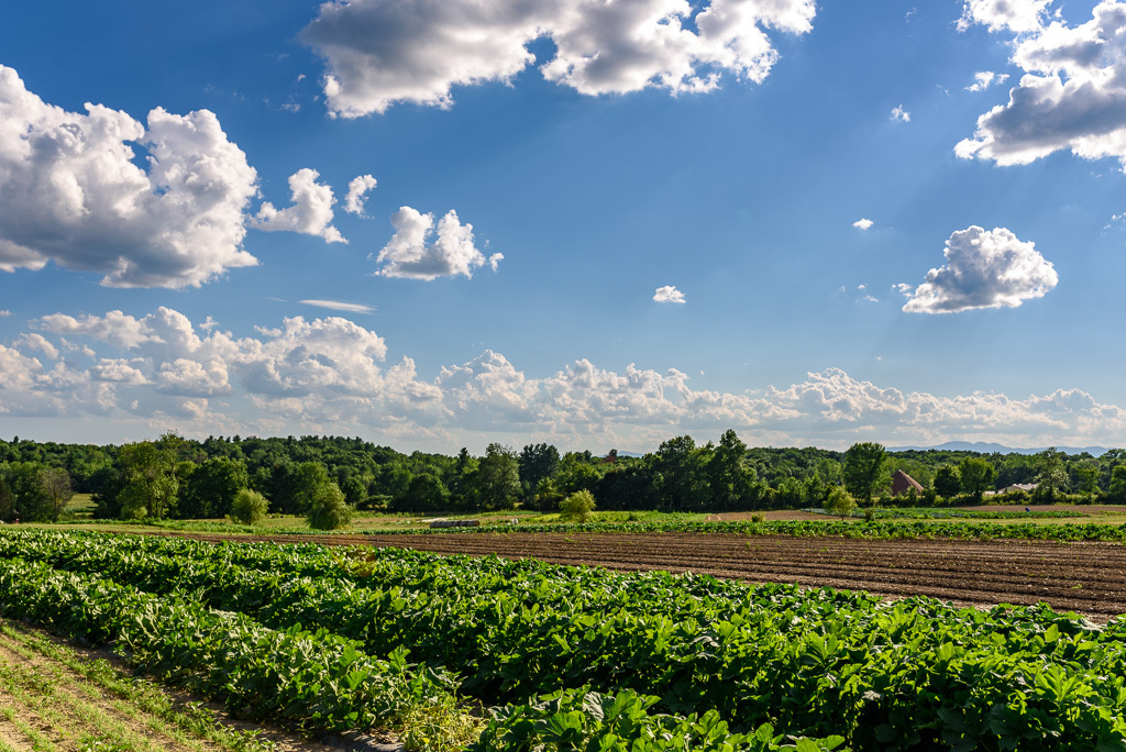 Farm Archives - Great Performances