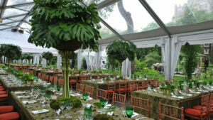 Central Park Zoo Venu rental