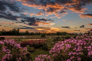Katchkie Farm Catered Events Venue