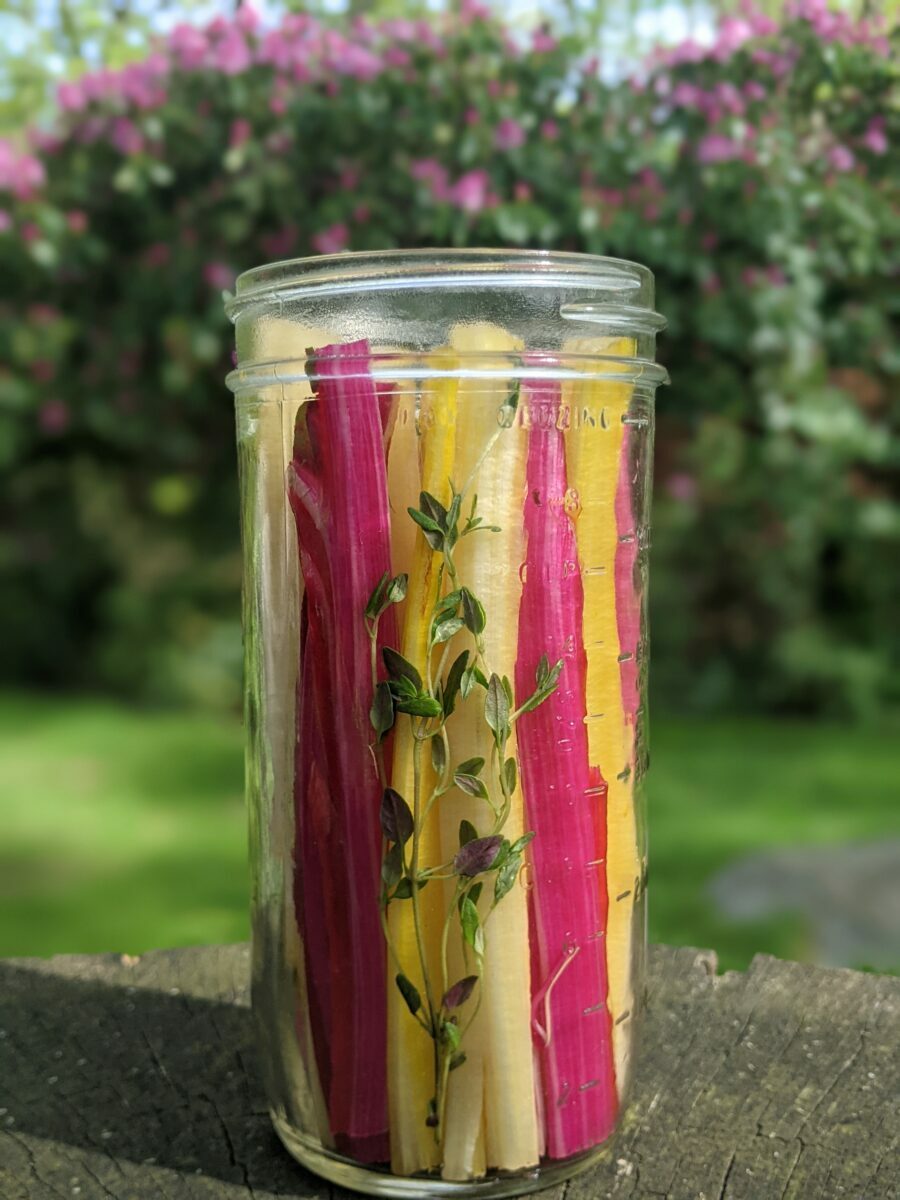 A Recipe for Sustainability: Pickled Swiss Chard Stems - Great Performances