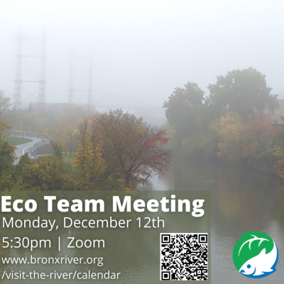 Eco-Team-Meeting-3-1024x1024