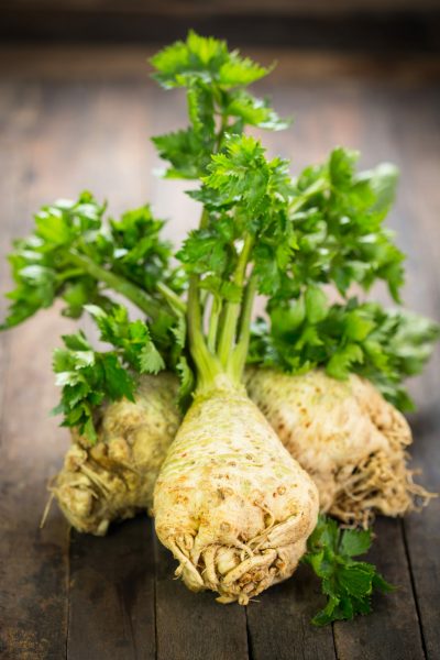 Fresh organic celery Fresh organic celery