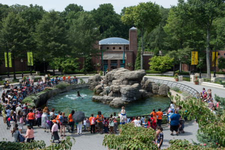 Great-Performances_Prospect-Park-Zoo_courtesy-Prospect-Park-Zoo_Photographer-Julie-Larsen-Maher_WCS Great-Performances_Prospect-Park-Zoo_courtesy-Prospect-Park-Zoo_Photographer-Julie-Larsen-Maher_WCS