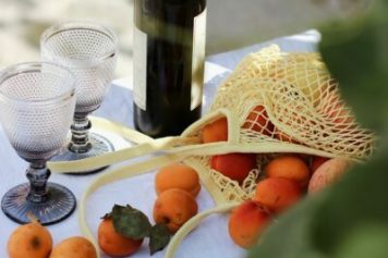 Great-Performances_Recipes_Rosh-Hashanah_Capon-Apricots-Chardonnay-400×600 Great-Performances_Recipes_Rosh-Hashanah_Capon-Apricots-Chardonnay-400x600