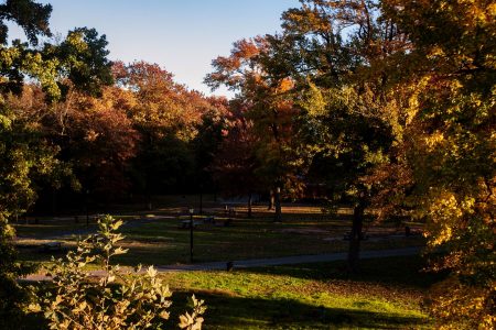 Pelham-Bay-Park_Bronx_fall-foliage