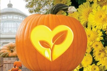 fall-o-ween-graphic-3.1-1920×640-1-1536×512 fall-o-ween-graphic-3.1-1920x640-1-1536x512